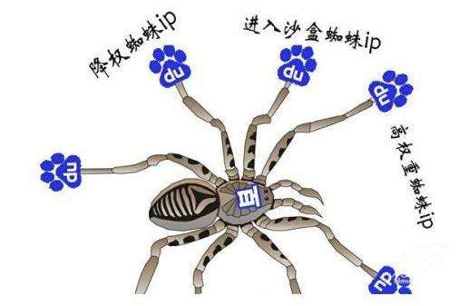 搜索引擎百度蜘蛛詳解，百度蜘蛛IP分析
