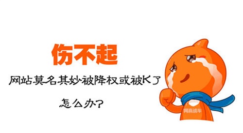 網(wǎng)站降權(quán)的原因，如何判斷是否真的降權(quán)？