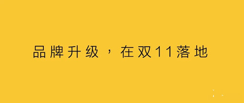 品牌升級，在雙11落地