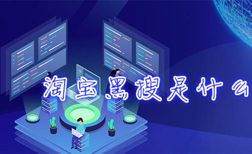 淘寶黑搜核心技術(shù)分享，黑搜怎么排名到首頁？